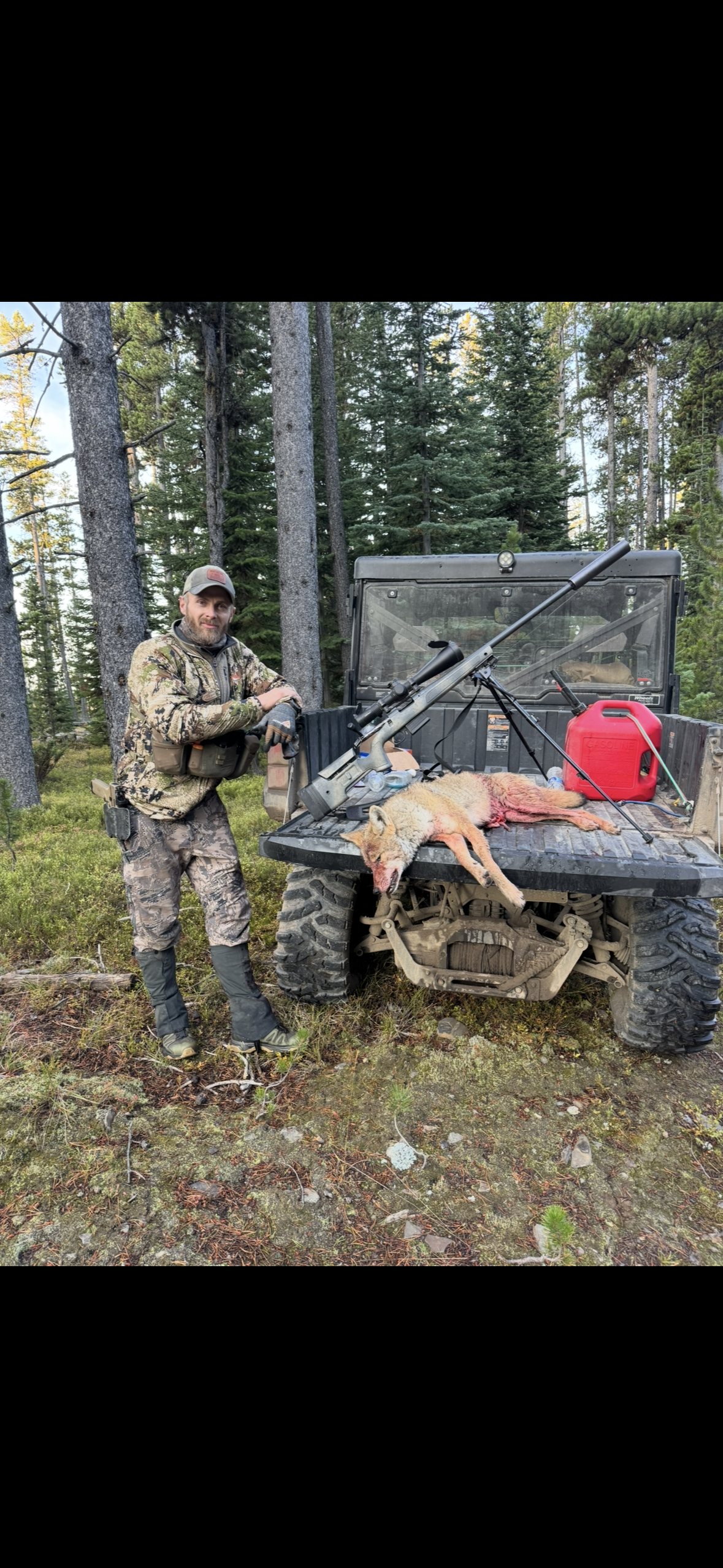 Coyote predator hunt in winter snow with rifle