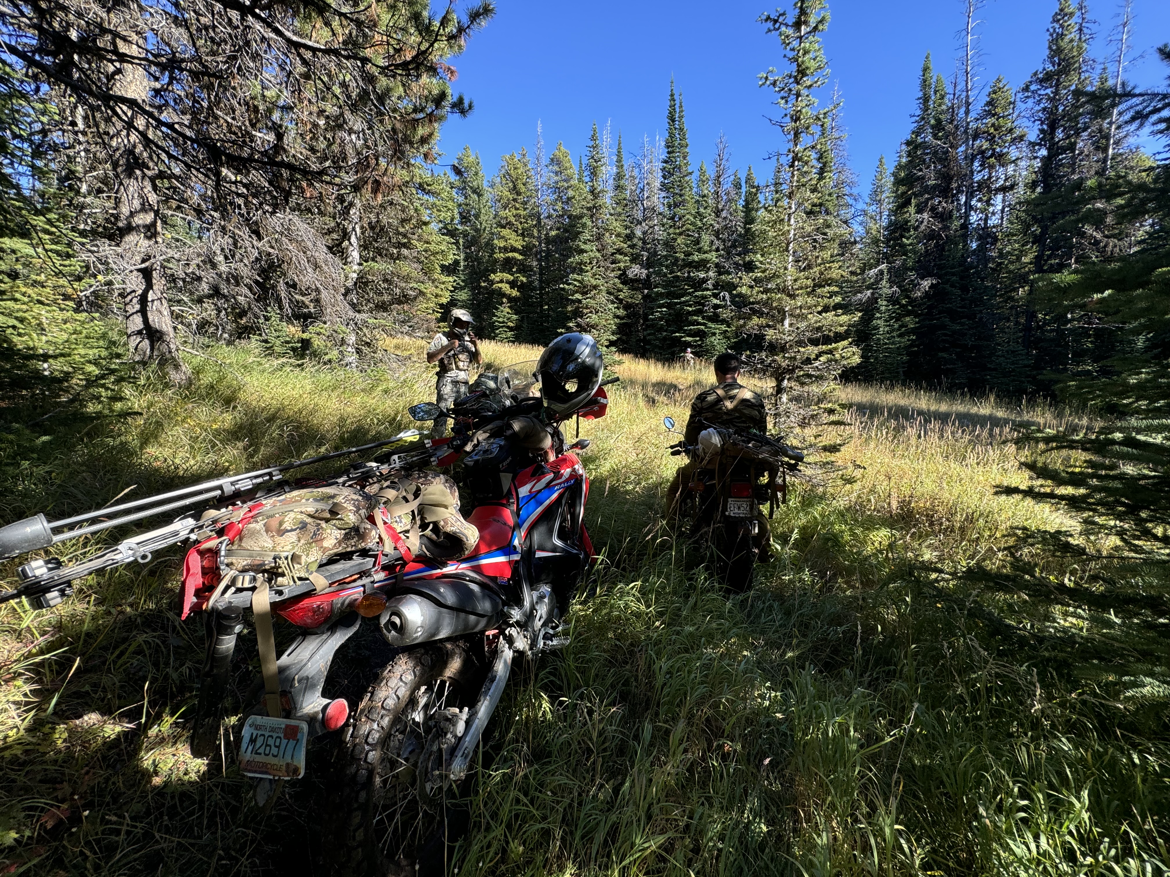 Honda Rally adventure motorcycle on a forest trail