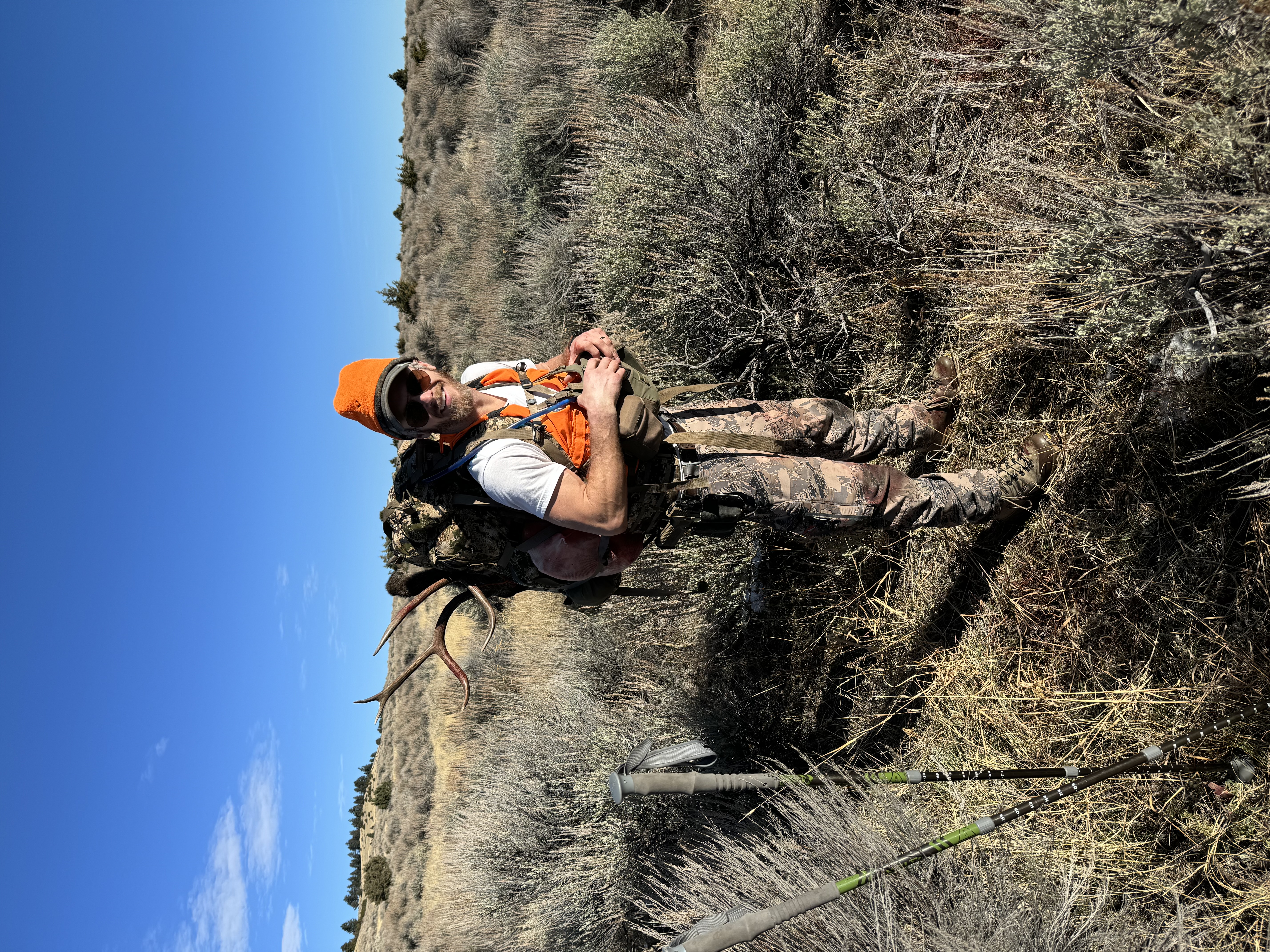 Mule deer hunt in Western country